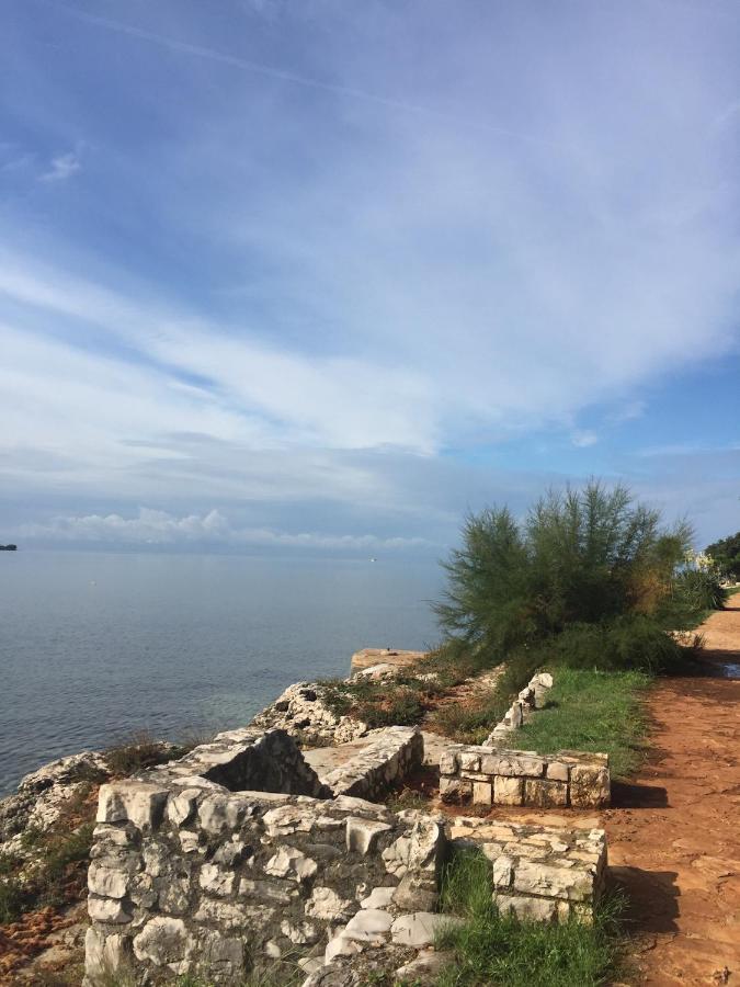 Villa Eva Karigador Novigrad Istria Exteriér fotografie