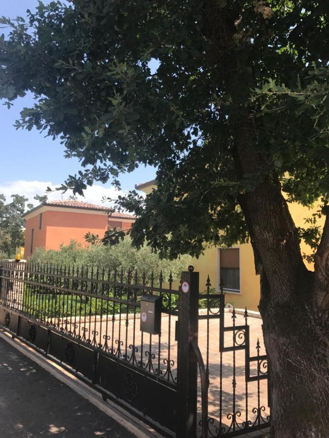 Villa Eva Karigador Novigrad Istria Exteriér fotografie