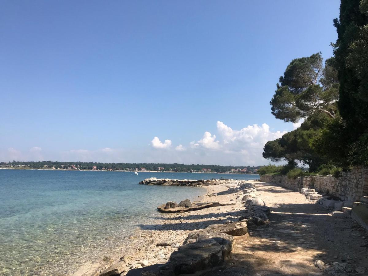 Villa Eva Karigador Novigrad Istria Exteriér fotografie